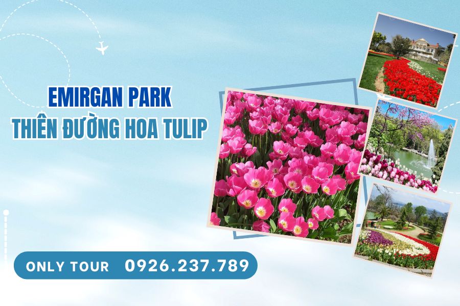Khám phá Emirgan Park – Thiên đường hoa tulip